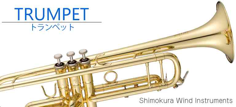 社会人になってから楽器を始めた人ー！！