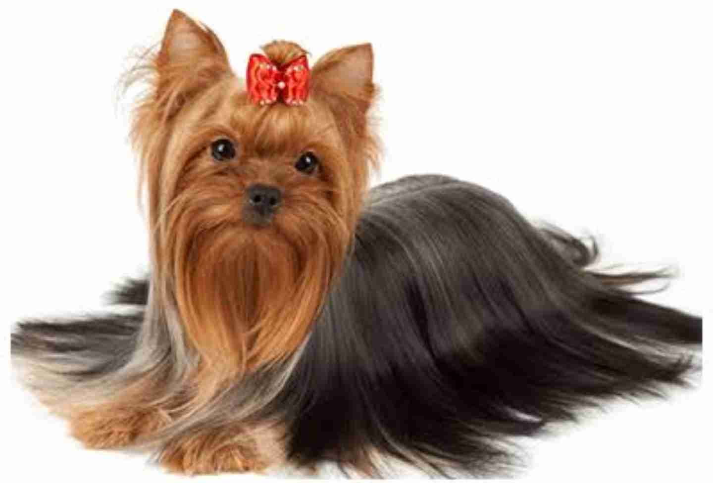 何となくおばさんチックなもの