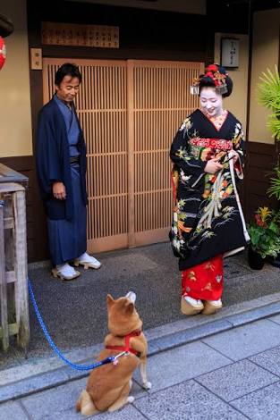 舞妓さんについて語ろう
