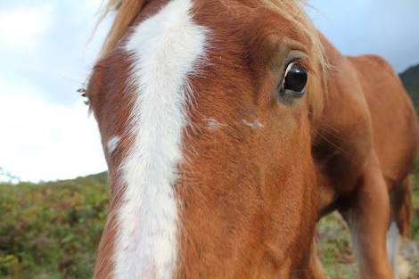 ざわちん、東方神起・チャンミンのものまねメイク披露「そっくり」「流石です」と絶賛の声