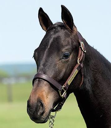 ざわちん、東方神起・チャンミンのものまねメイク披露「そっくり」「流石です」と絶賛の声