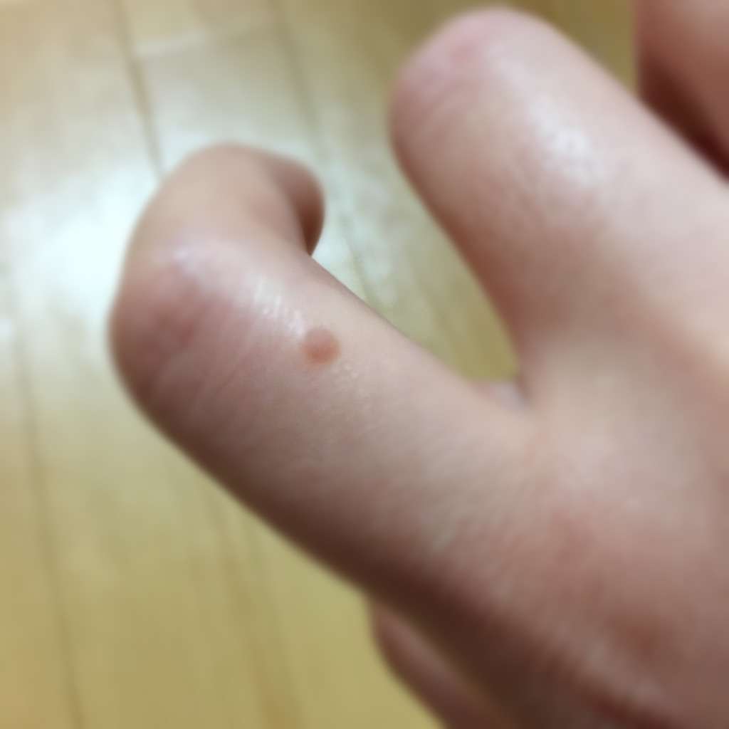 最近気になること