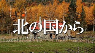 流行ったけど観なかった作品