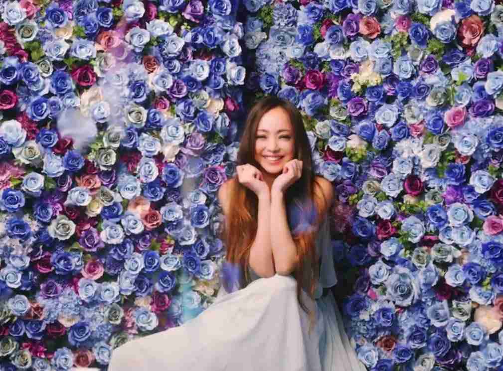 JTA、安室奈美恵ジェット就航　客室乗務員風の姿大きくデザイン