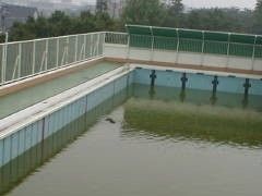 学校で有った怖い話はなんですか？