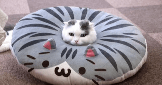 暇人部隊！再び！！