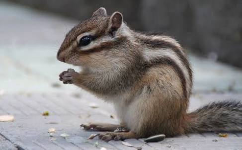 暇人部隊！再び！！