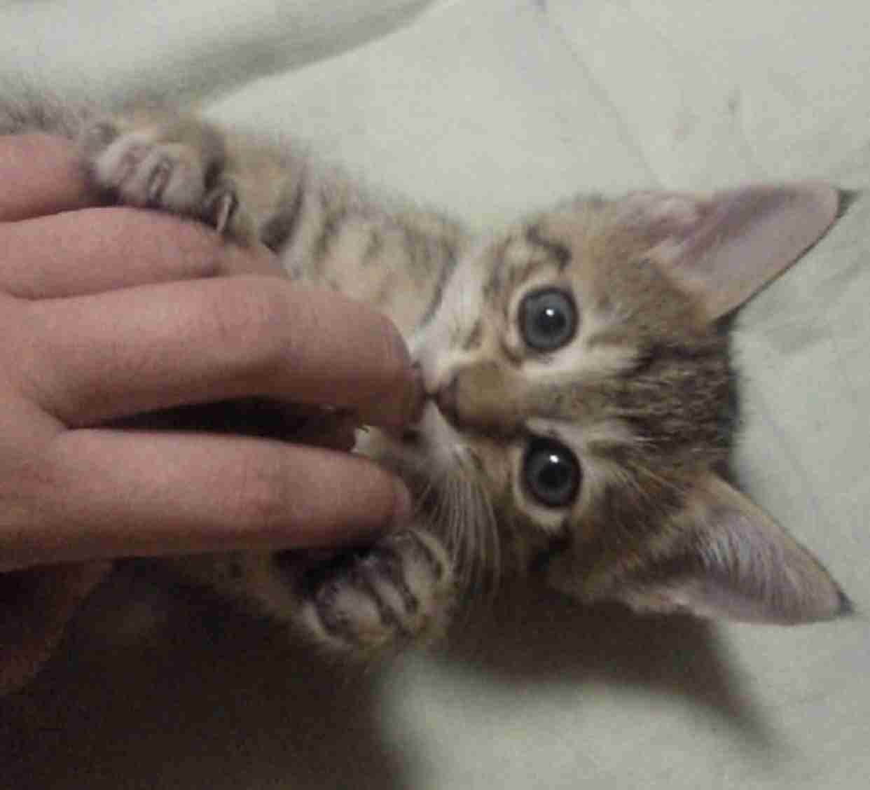 暇人部隊！再び！！