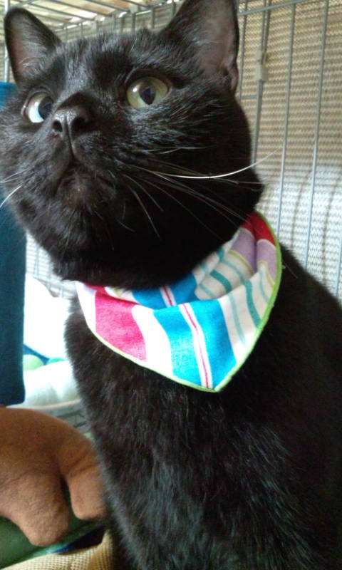 暇人部隊！再び！！