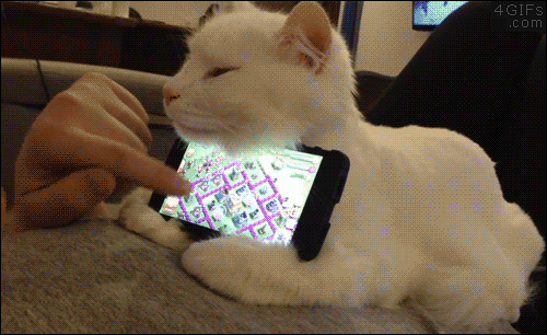 ずっと見ていたいGIF動画下さい