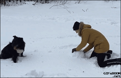 ずっと見ていたいGIF動画下さい