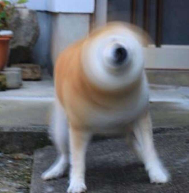 実写版ゲゲゲの鬼太郎を作るなら?