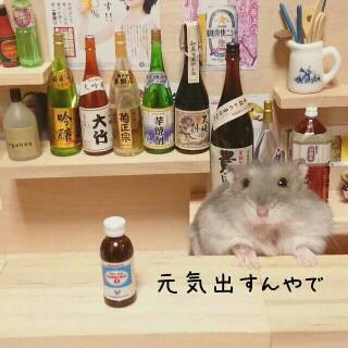 好きなお笑い芸人