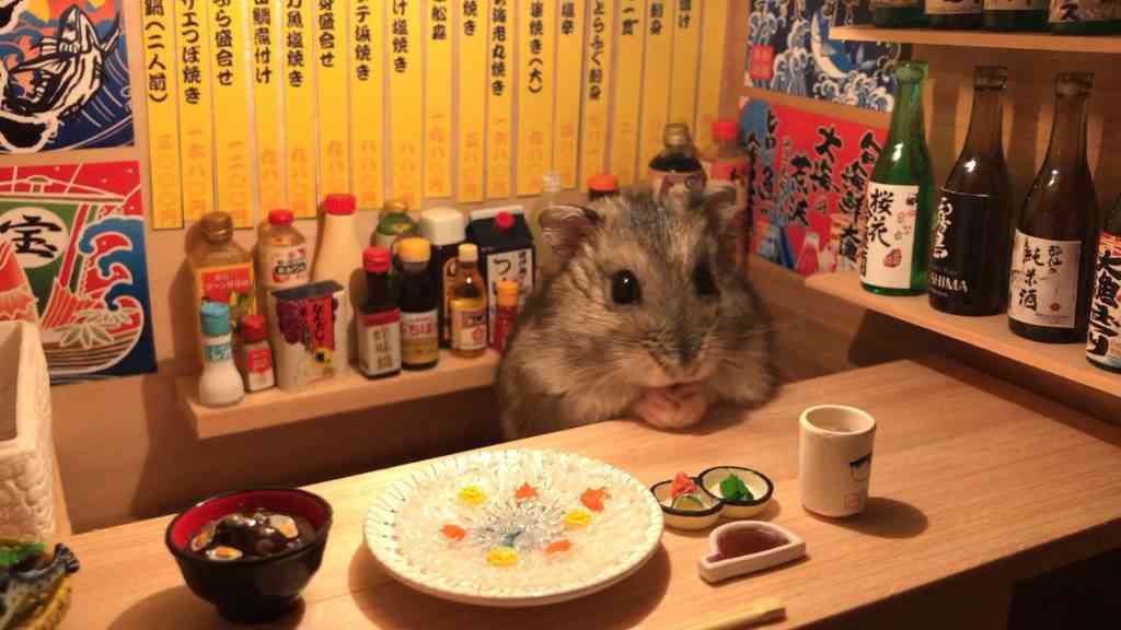好きなお笑い芸人