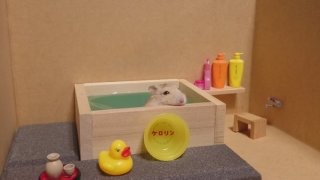 好きなお笑い芸人