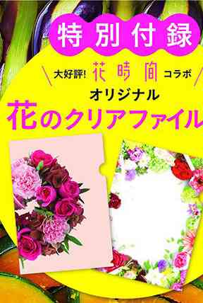【定期】雑誌付録6．7月号【トピ】