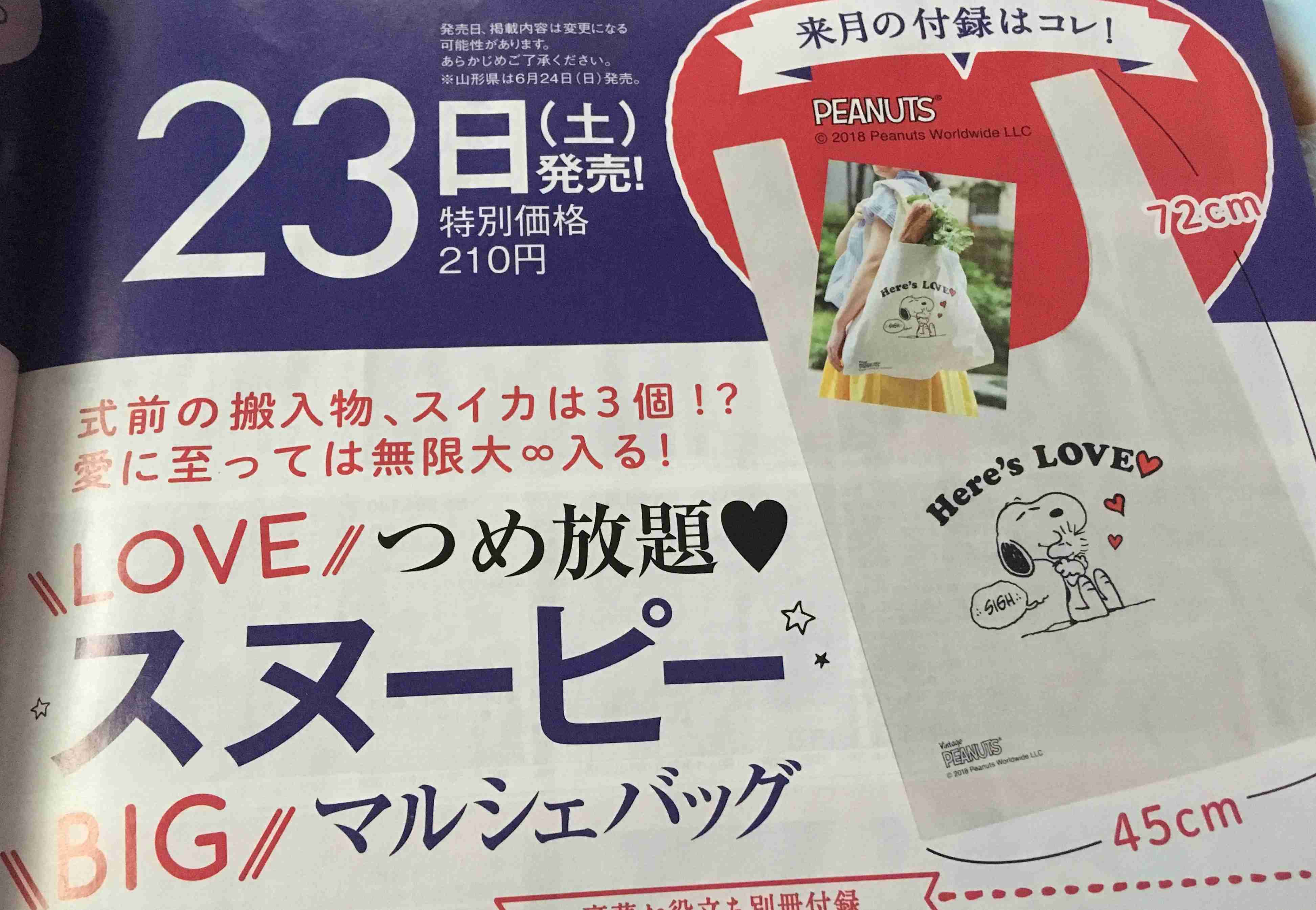【定期】雑誌付録6．7月号【トピ】