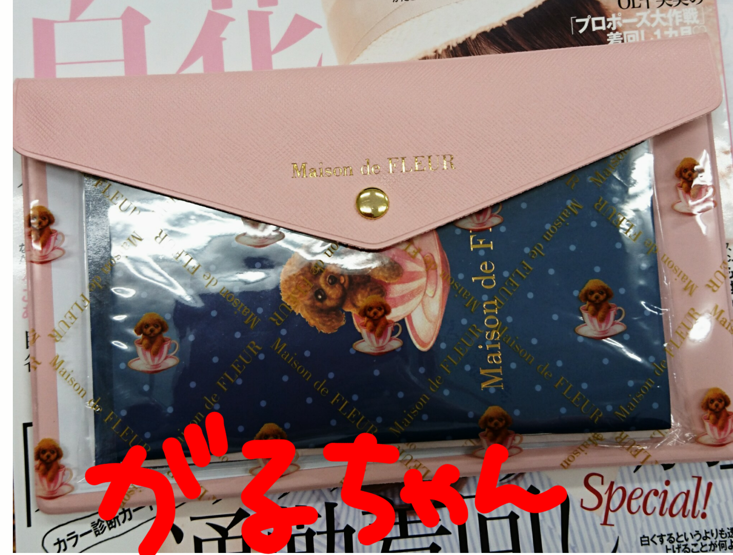 【定期】雑誌付録6．7月号【トピ】