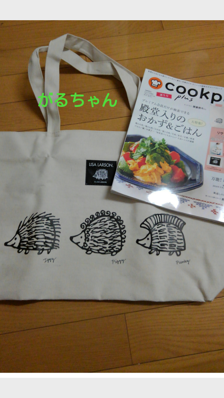 【定期】雑誌付録6．7月号【トピ】