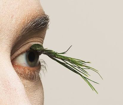 つけまつげ情報交換トピ