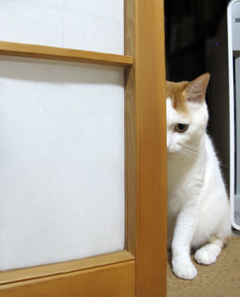 画像を「家政婦は見た！」風にするトピ