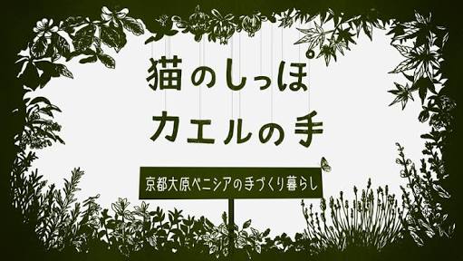 誰も見てないだろうけど自分は好きなテレビ番組