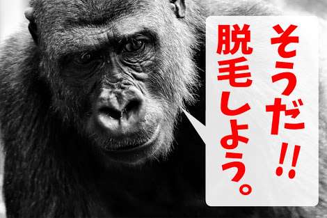 【カラ元気と言われようが】自分に気合いを入れるトピ！