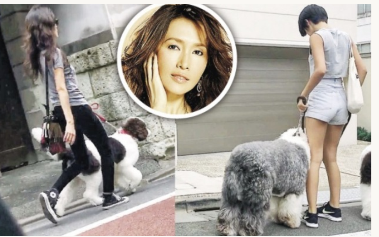 木村拓哉の次女・Koki、「スポニチ」報道は「工藤静香の仕業」!? ジャニーズ困惑の