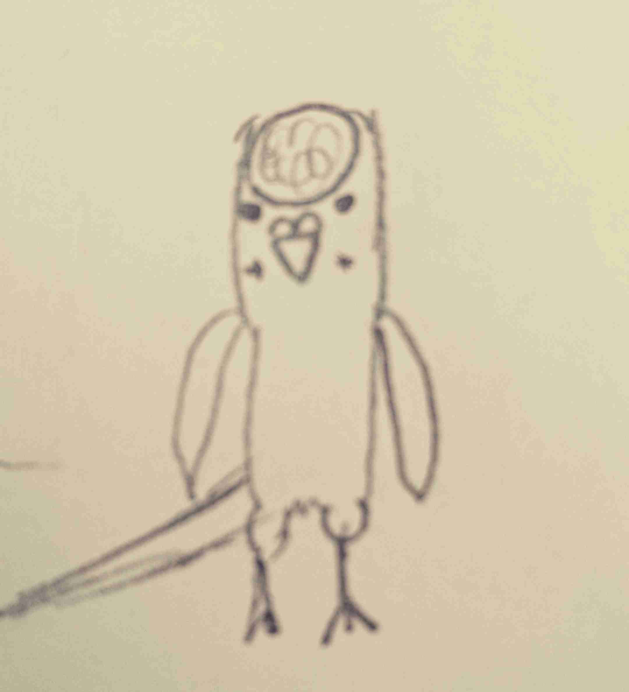 【あいまい】記憶だけで動物の絵を描く【あじわい】