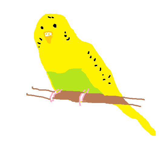 【あいまい】記憶だけで動物の絵を描く【あじわい】