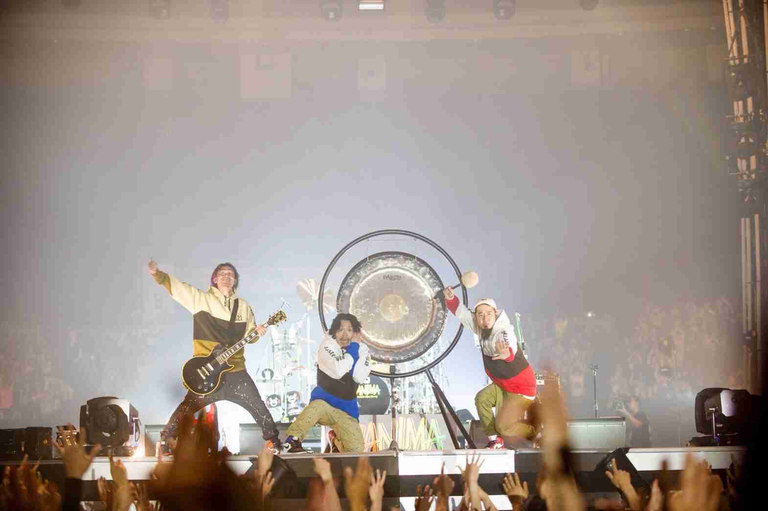 ライブを観て好きになったorガッカリしたアーティスト