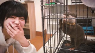 大炎上キンタロー。に欅坂ファンからも激励・感謝の声…前田敦子以来の騒動
