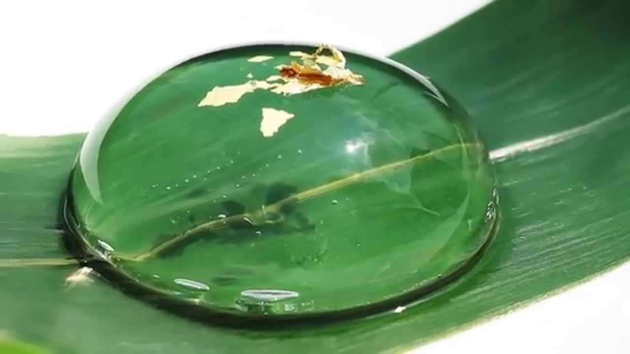 「涼しげな和菓子」の画像を貼るトピ♪