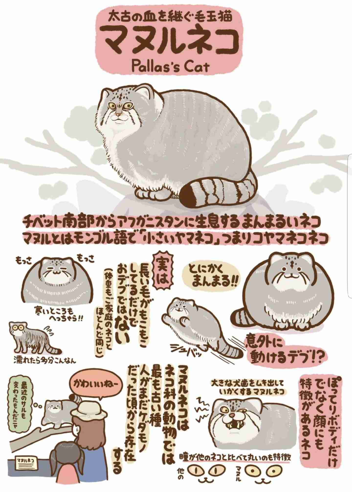 ためになる画像が集まるトピ