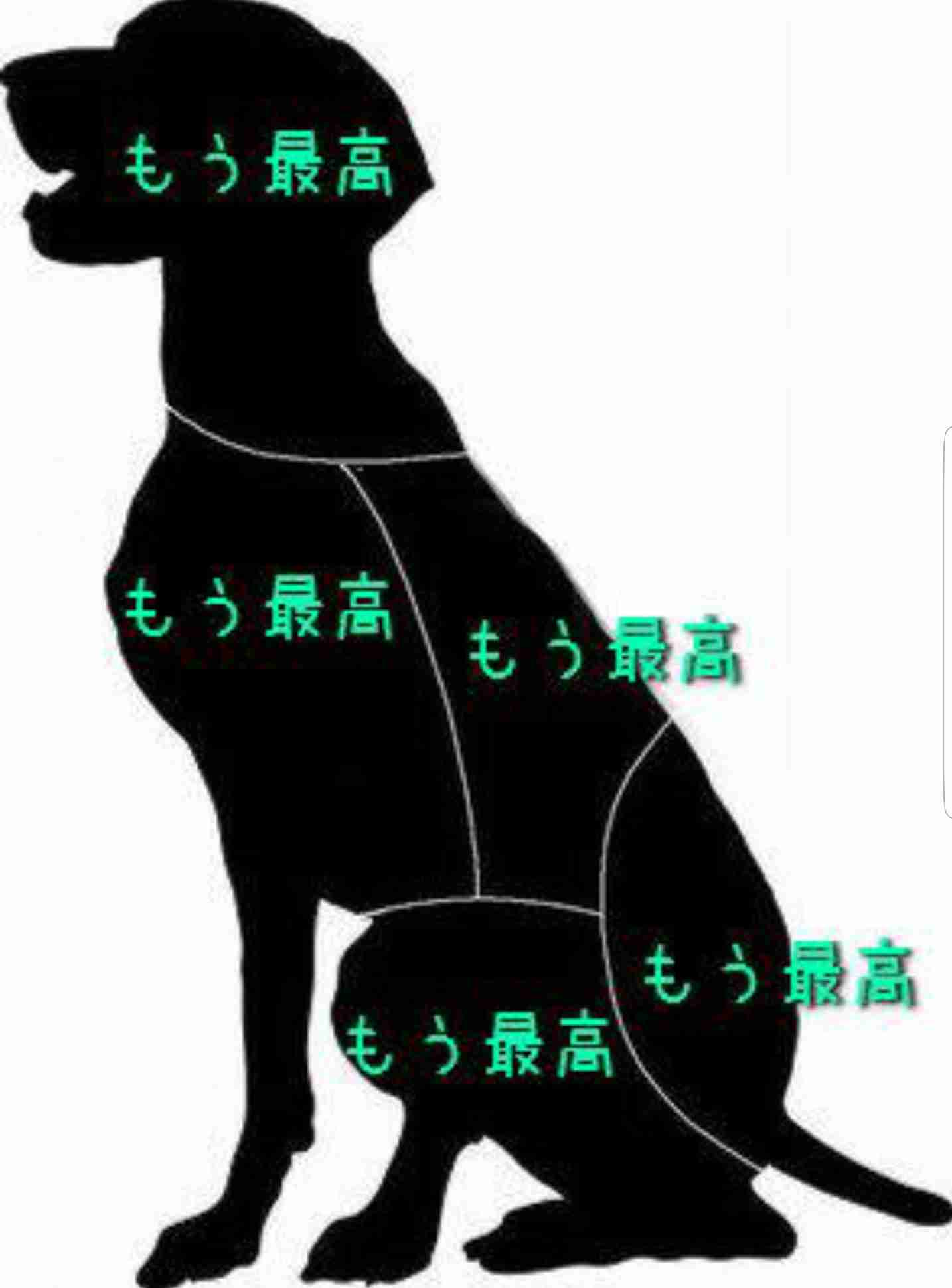 ためになる画像が集まるトピ