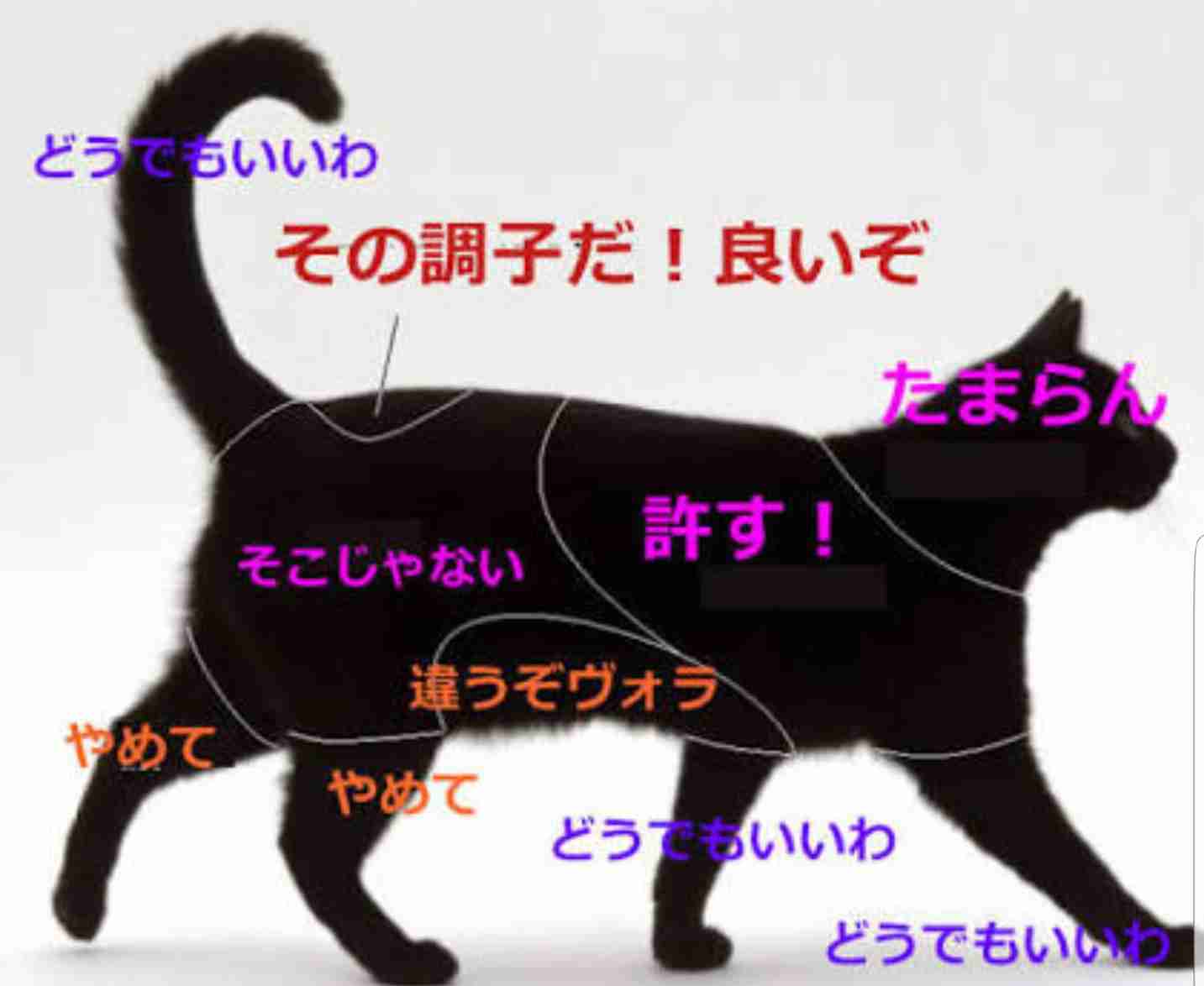 ためになる画像が集まるトピ