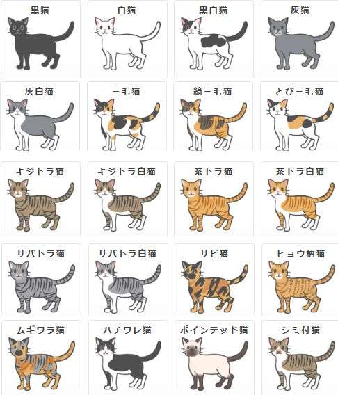 ためになる画像が集まるトピ