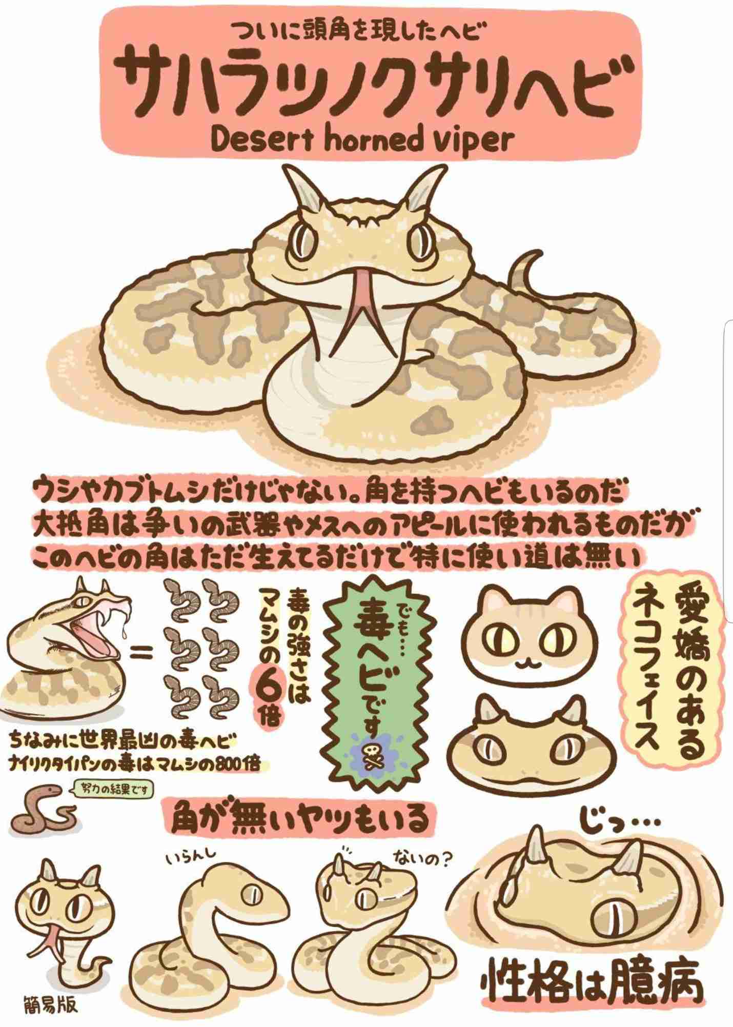 ためになる画像が集まるトピ