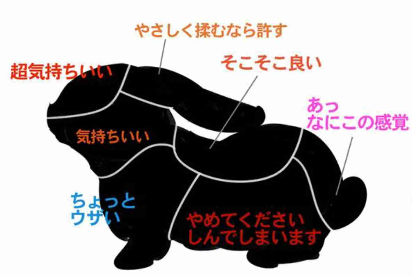 ためになる画像が集まるトピ