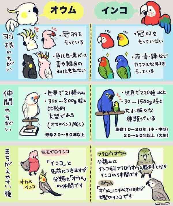 ためになる画像が集まるトピ