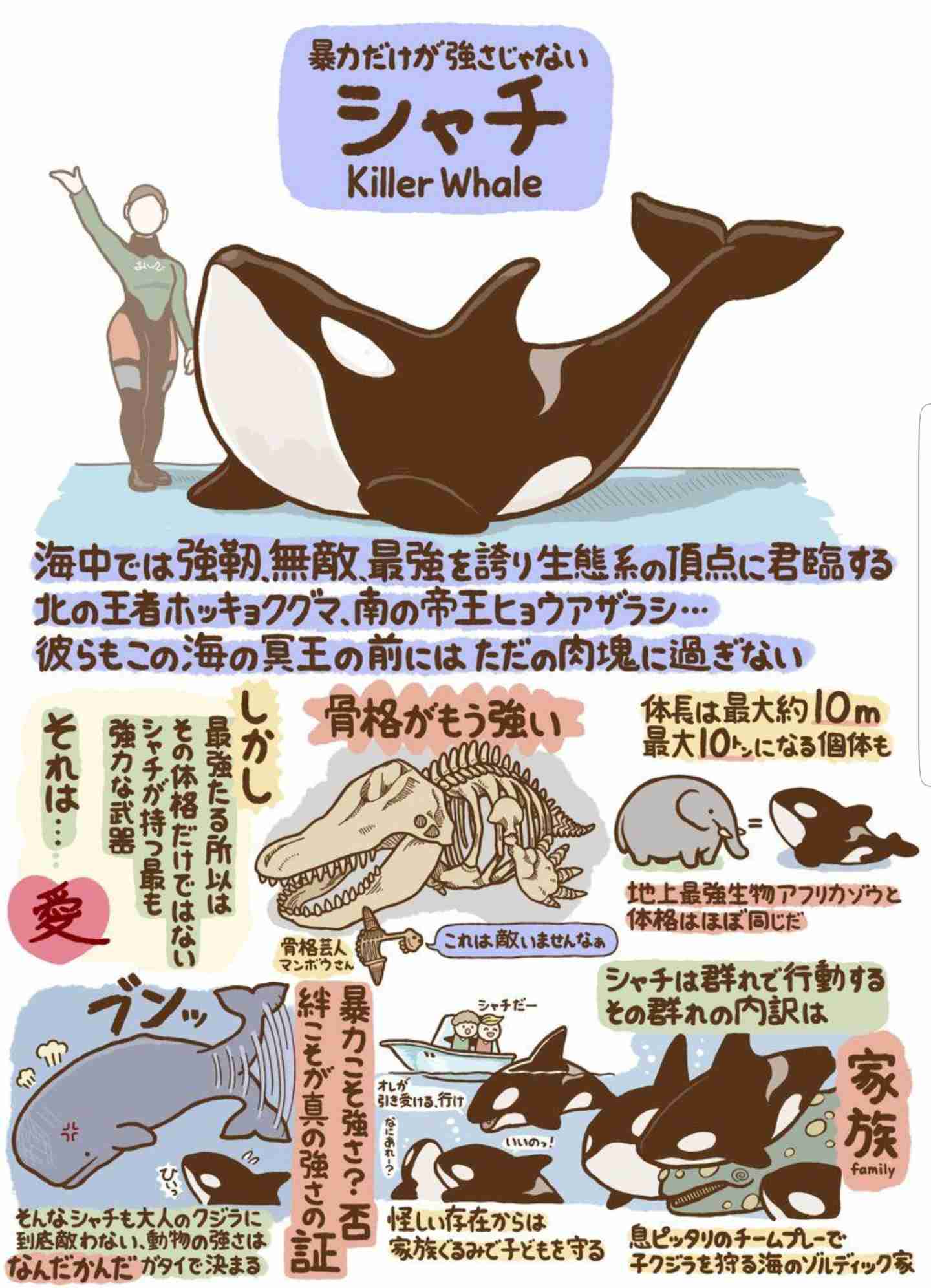 ためになる画像が集まるトピ