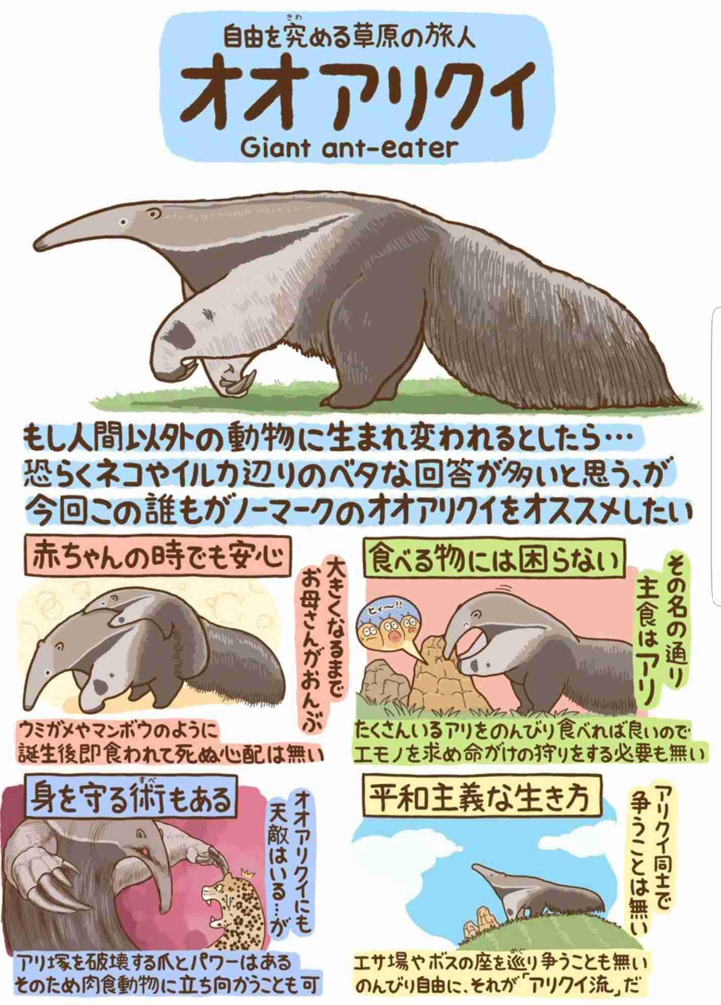 ためになる画像が集まるトピ
