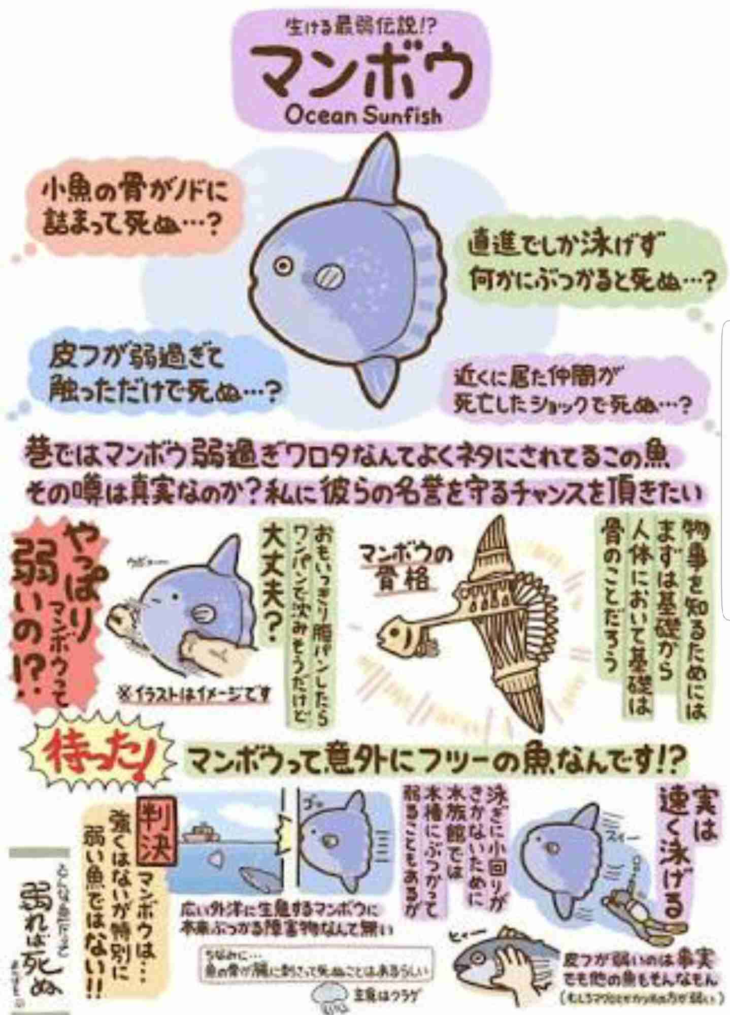 ためになる画像が集まるトピ