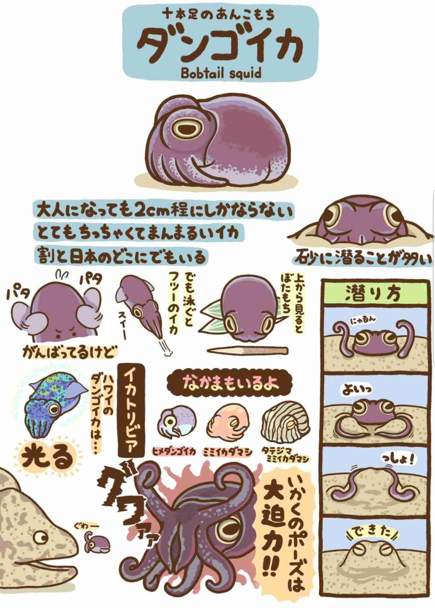 ためになる画像が集まるトピ