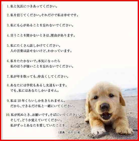 犬の雑学を教えてください(*^^*)