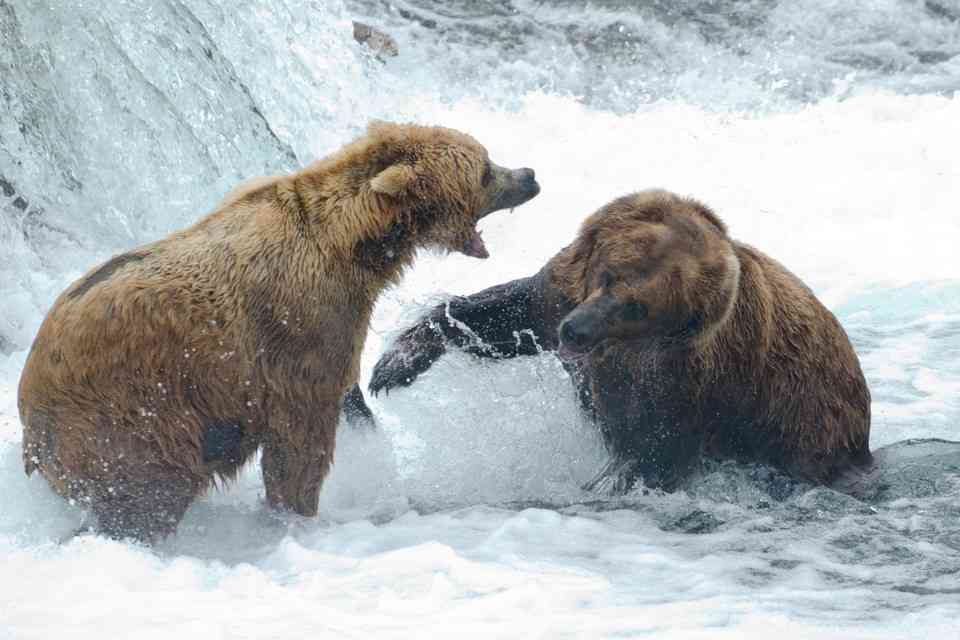 芸能人のオネェ、オカマになりきって夏を語るトピ
