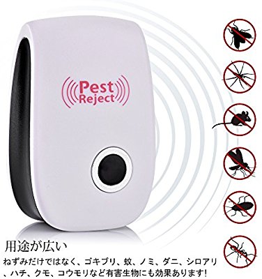 G以外の虫対策してますか？