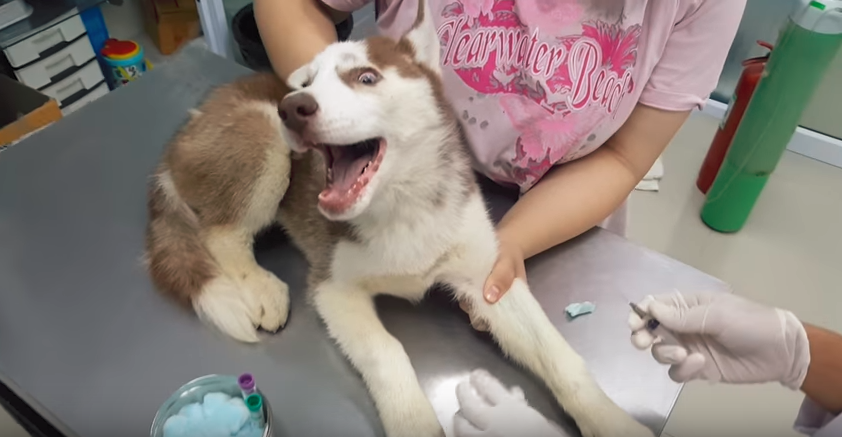 好きな人から恋愛相談をされたことがある方