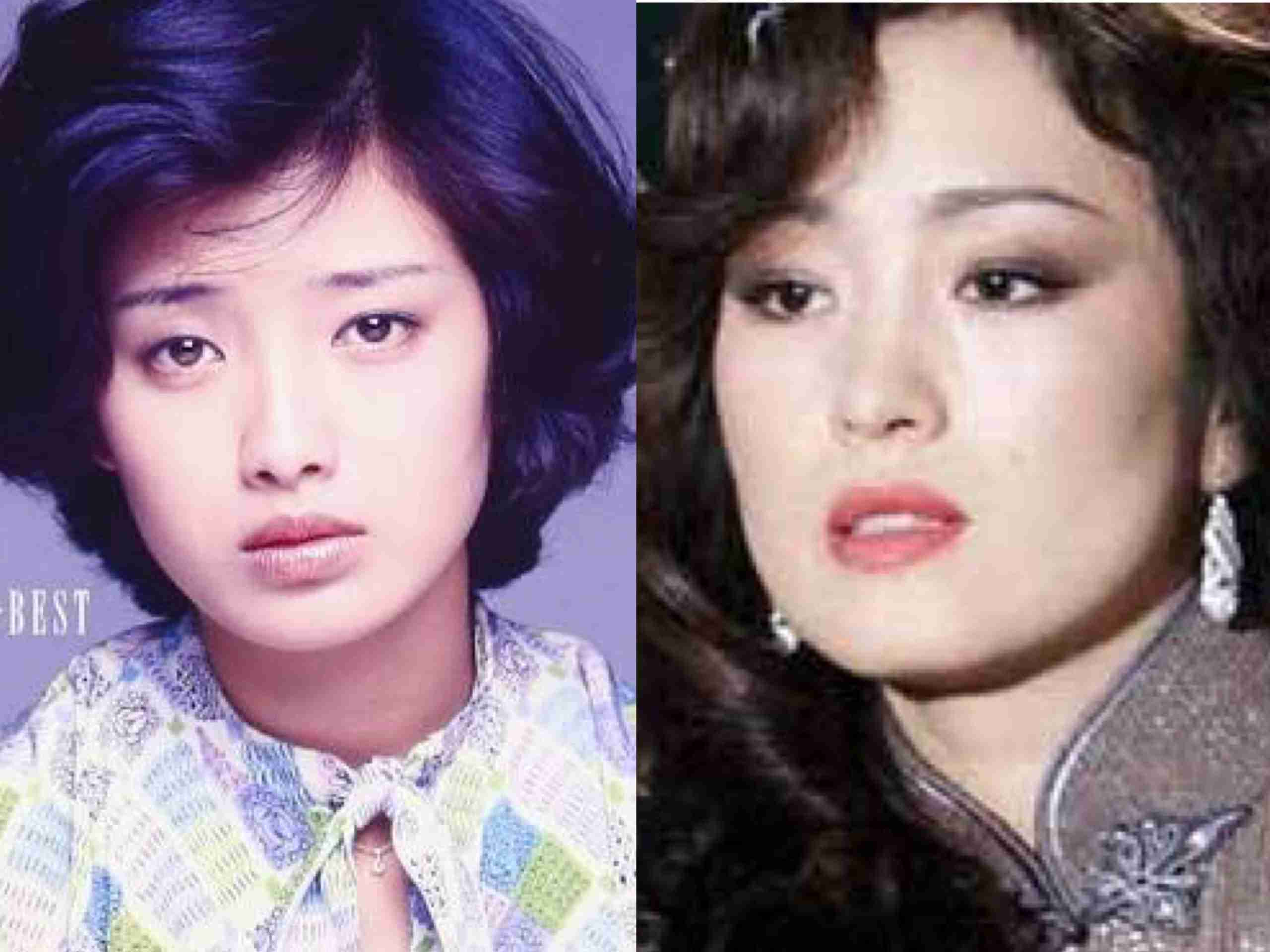 同じ系統の顔の芸能人