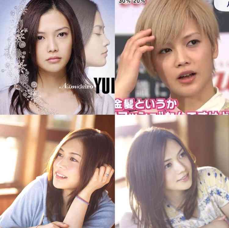 同じ系統の顔の芸能人